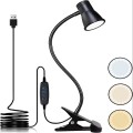 00.jpg