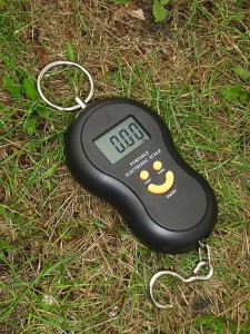 WAGA hakowa na ryby AG199